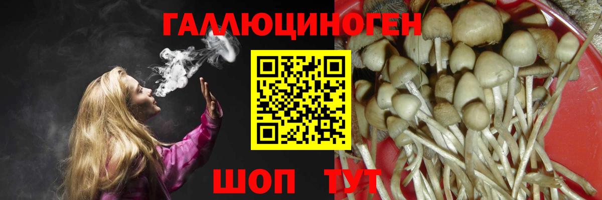 Губаха  Галлюциногенные грибы мухоморы  Галлюциногенные грибы прущие грибы  Вход с VPN 